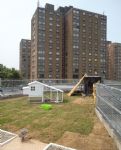 �30,000 Salford Community Forest Garden